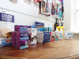 Rothesay Bay Vet Flea Tick Worm Treatments